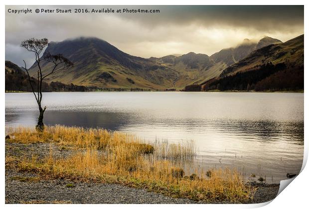 Fleetwith Pike and Buttermere Print by Peter Stuart