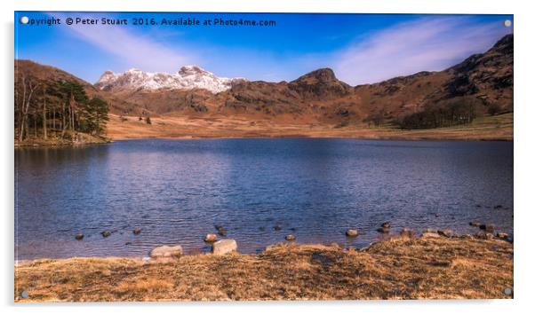 Blea Tarn and the Langdale Pikes Acrylic by Peter Stuart