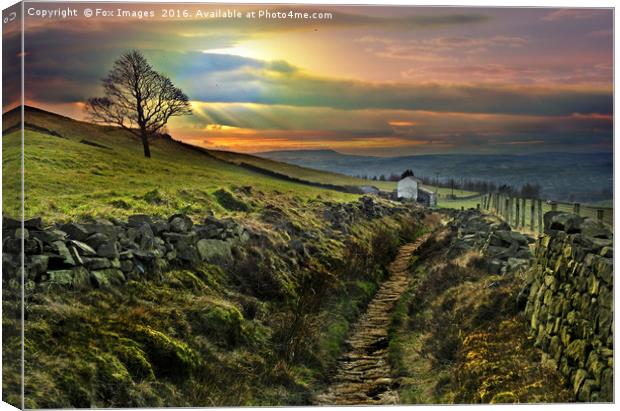 farm view in lancashire Canvas Print by Derrick Fox Lomax