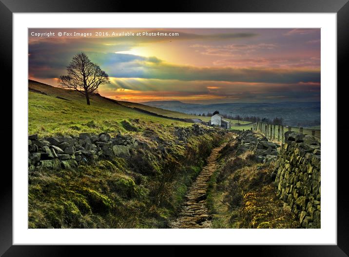 farm view in lancashire Framed Mounted Print by Derrick Fox Lomax
