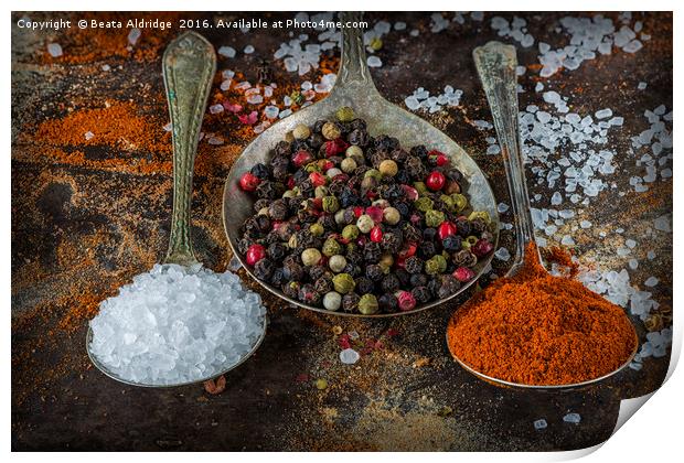 The world of spices Print by Beata Aldridge