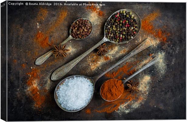 The world of spices Canvas Print by Beata Aldridge