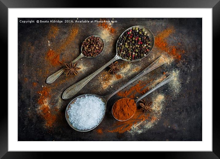 The world of spices Framed Mounted Print by Beata Aldridge