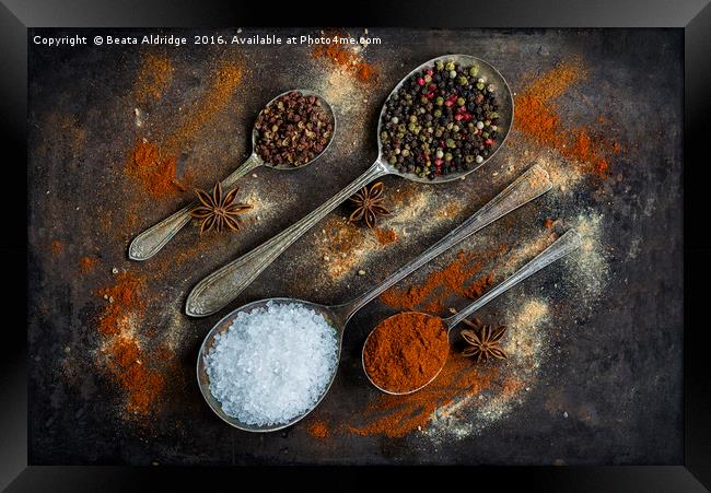 The world of spices Framed Print by Beata Aldridge