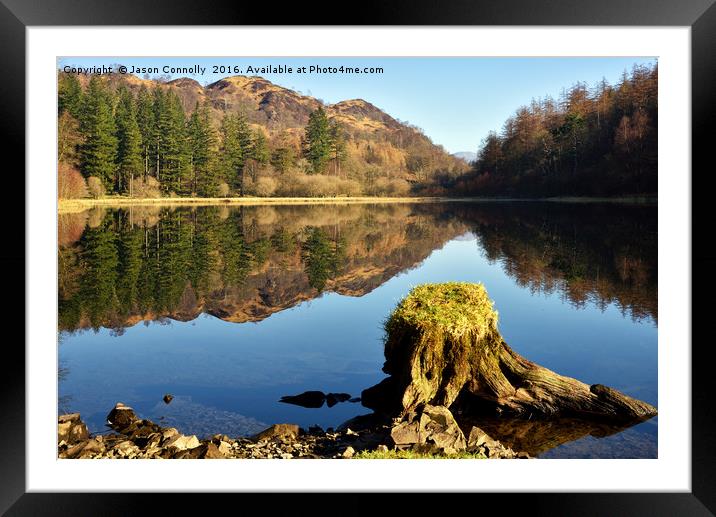 Yew Tree Tarn Cumbria Framed Mounted Print by Jason Connolly