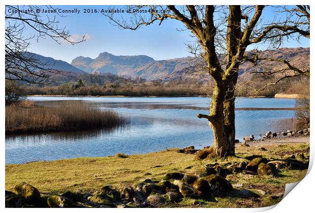 Elterwater, Cumbria Print by Jason Connolly