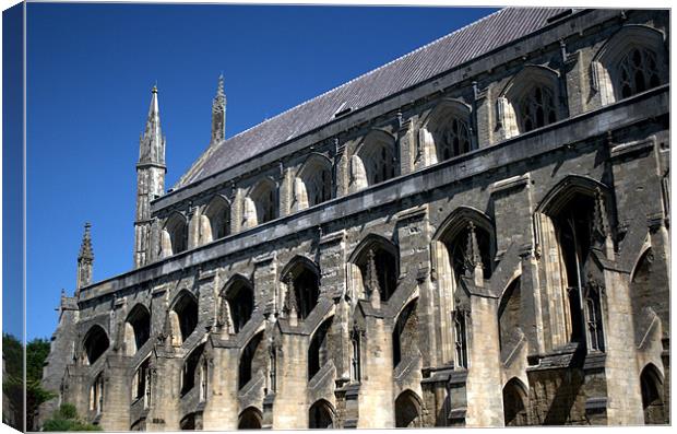 Winchester Cathedral South wall Canvas Print by Chris Day