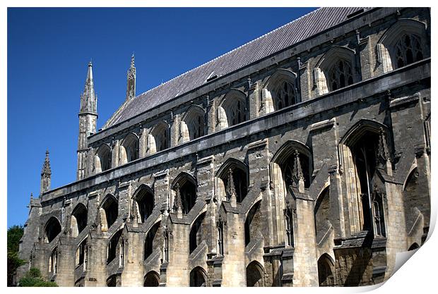 Winchester Cathedral South wall Print by Chris Day