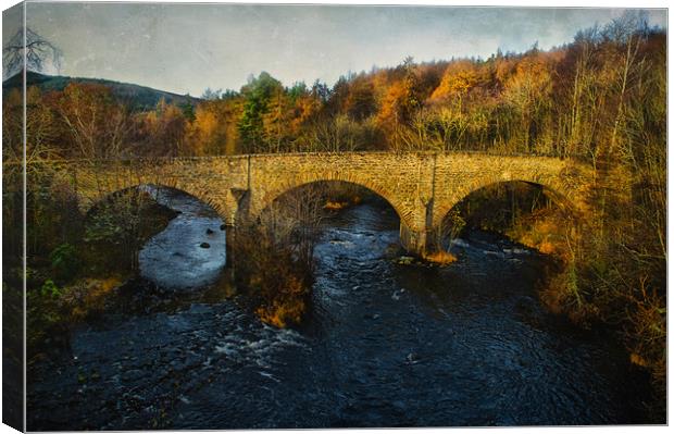 Autumn Light on Contin Bridge Canvas Print by Jacqi Elmslie