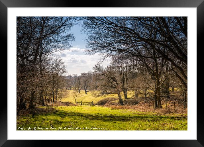 Track to 5 bar gate at Felbrigg Framed Mounted Print by Stephen Mole