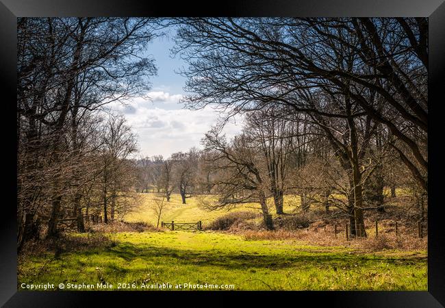 Track to 5 bar gate at Felbrigg Framed Print by Stephen Mole