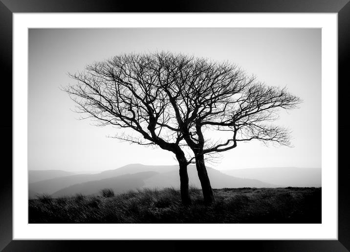 Side by side Framed Mounted Print by Andrew Kearton