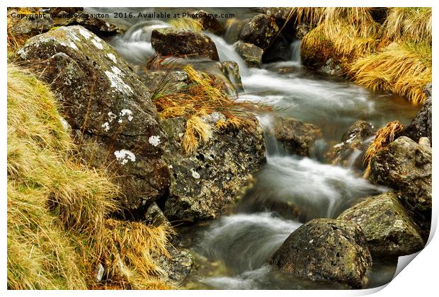 ROCKS WITH WATER Print by andrew saxton