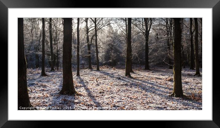 Hoar Frost Framed Mounted Print by David Tinsley