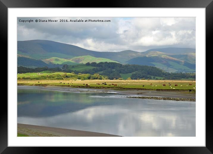 The Dyfi estuary Wales Framed Mounted Print by Diana Mower
