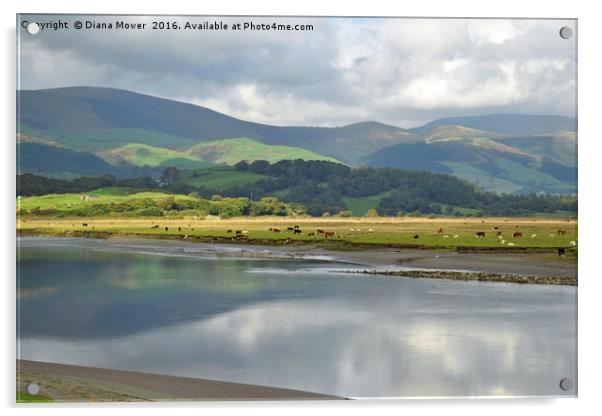 The Dyfi estuary Wales Acrylic by Diana Mower