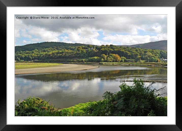  The Dyfi estuary Wales Framed Mounted Print by Diana Mower