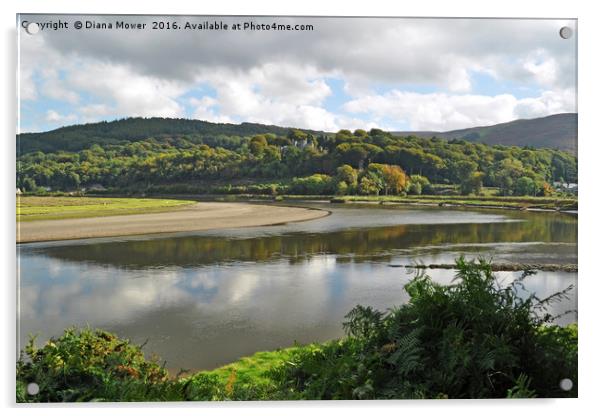  The Dyfi estuary Wales Acrylic by Diana Mower