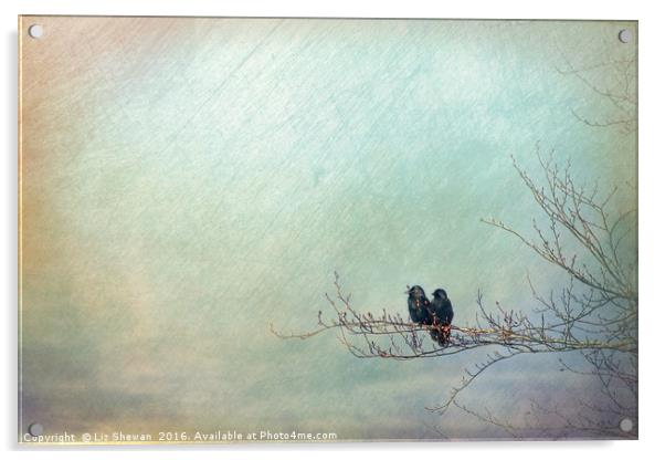 Crow Watch Lovers - artsy style Acrylic by Liz Shewan