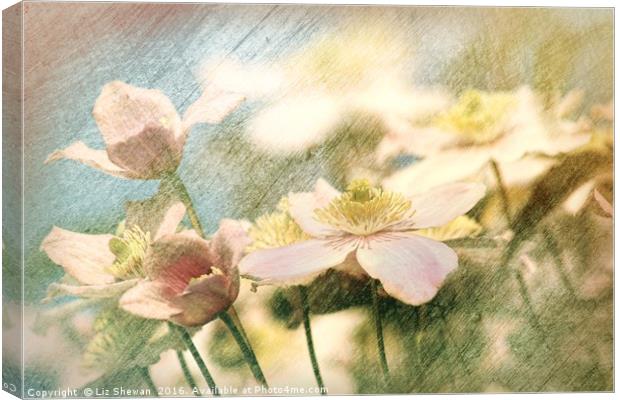Clematis Pinks and Blues - artsy style Canvas Print by Liz Shewan