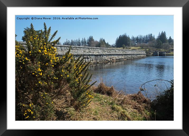 Fernworthy Reservoir Framed Mounted Print by Diana Mower