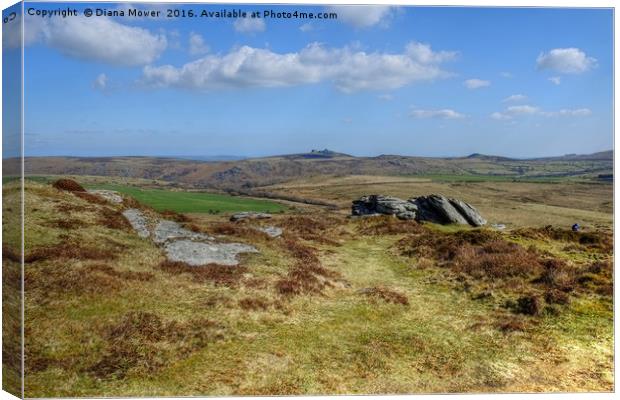 Hay Tor From Chinkwell Tor Canvas Print by Diana Mower