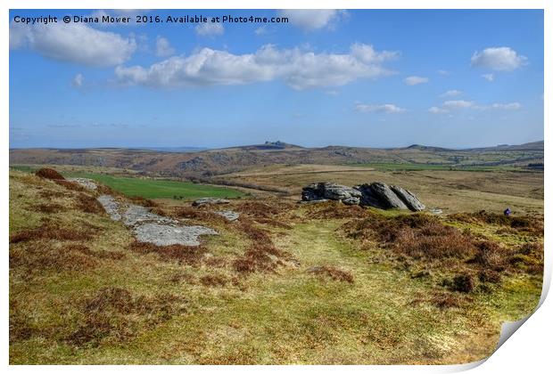 Hay Tor From Chinkwell Tor Print by Diana Mower