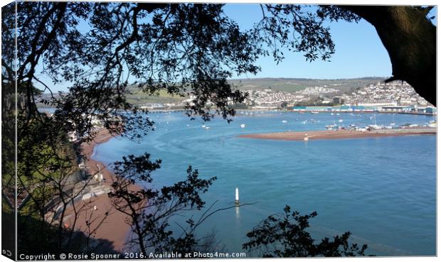 Teignmouth and Shaldon from the coast path Canvas Print by Rosie Spooner