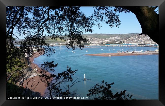 Teignmouth and Shaldon from the coast path Framed Print by Rosie Spooner