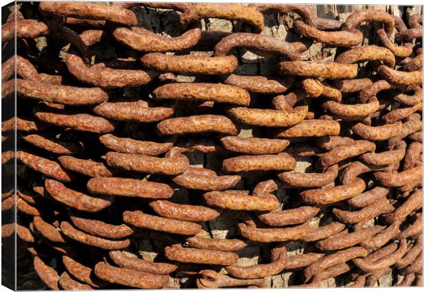 Rusty old iron chains  Canvas Print by Shaun Jacobs