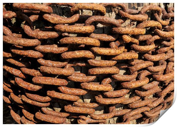 Rusty old iron chains  Print by Shaun Jacobs