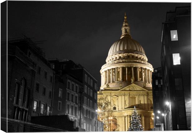 St Pauls Cathedral Canvas Print by Phil Dutton