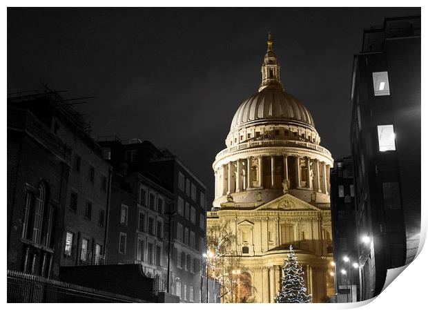 St Pauls Cathedral Print by Phil Dutton