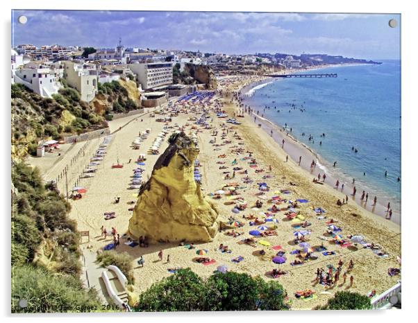 Albufeira Beach V Acrylic by Tom Gomez