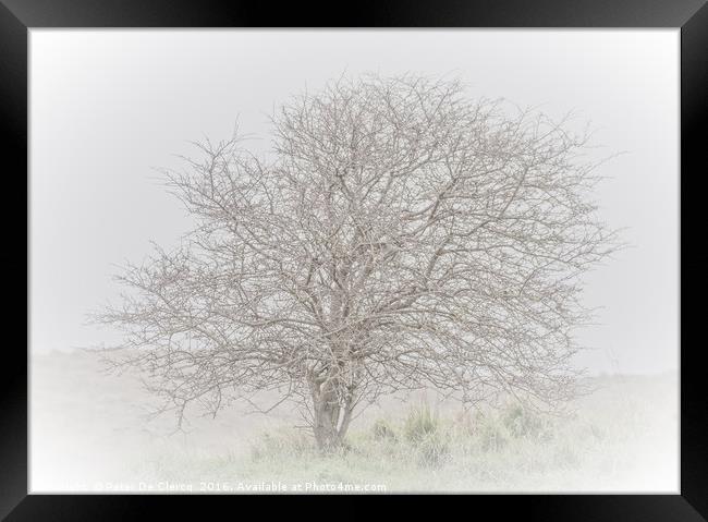 Lone Tree Framed Print by Peter De Clercq