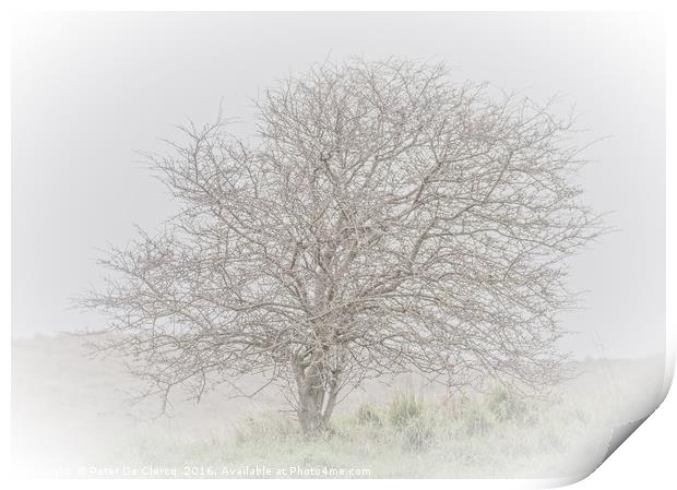 Lone Tree Print by Peter De Clercq