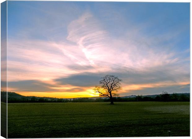 the sunset tree Canvas Print by paul ratcliffe