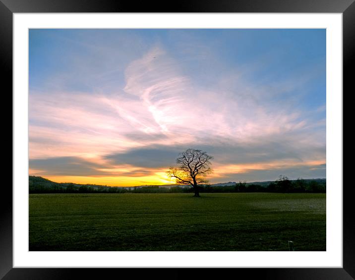 the sunset tree Framed Mounted Print by paul ratcliffe