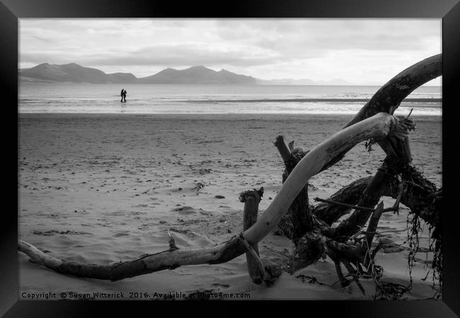 The Driftwood Lovers Framed Print by Susan Witterick