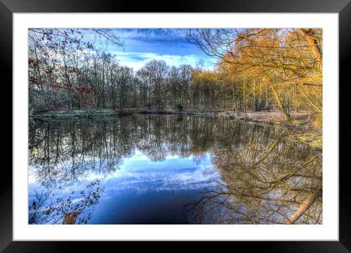 Early morning Forest Pond Framed Mounted Print by David Pyatt