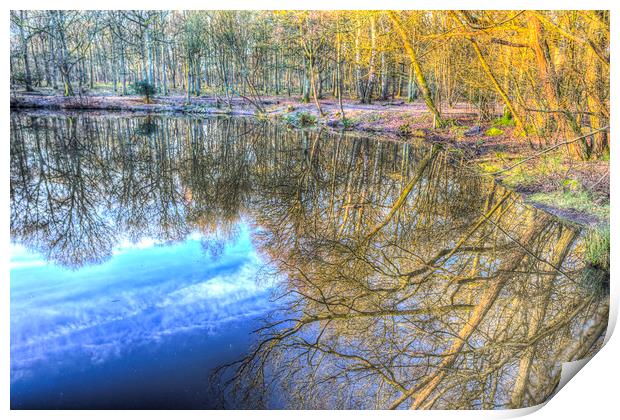 Peaceful Pond Reflections  Print by David Pyatt