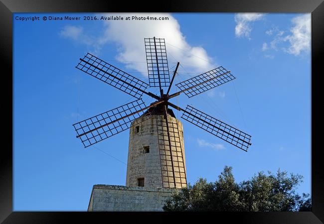 Xarolla Windmill, Malta. Framed Print by Diana Mower
