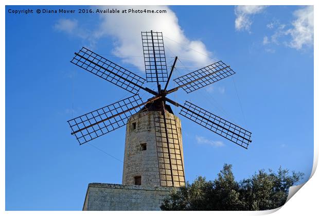 Xarolla Windmill, Malta. Print by Diana Mower