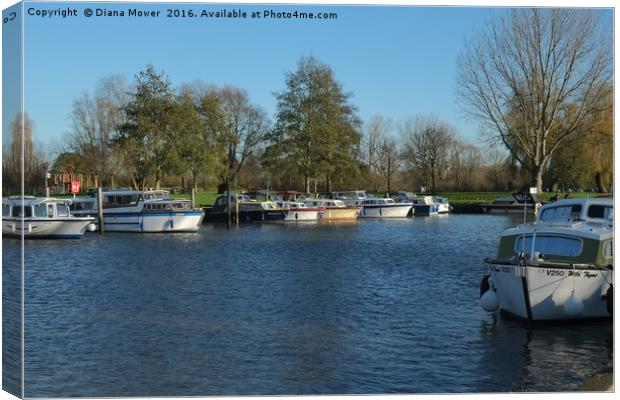 Beccles Suffolk  Canvas Print by Diana Mower