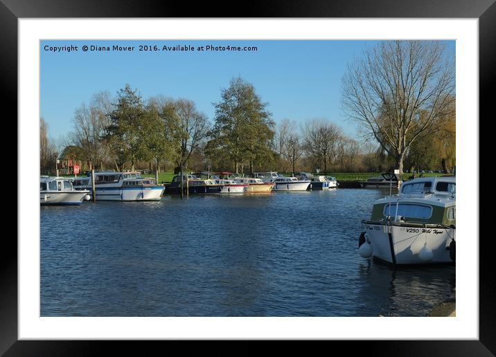 Beccles Suffolk  Framed Mounted Print by Diana Mower