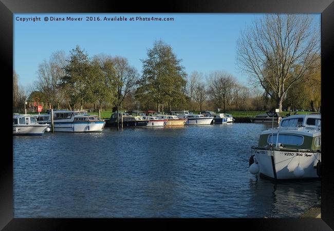 Beccles Suffolk  Framed Print by Diana Mower