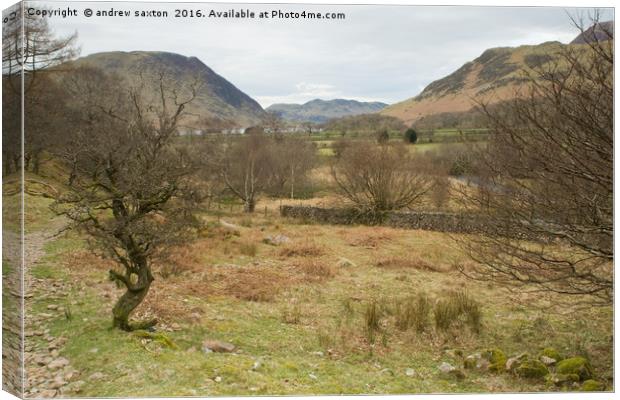 BUTTERMERE VIEW Canvas Print by andrew saxton