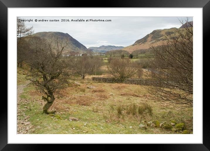 BUTTERMERE VIEW Framed Mounted Print by andrew saxton