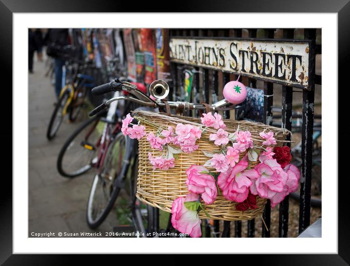 Pink Bicycle, Cambridge Framed Mounted Print by Susan Witterick