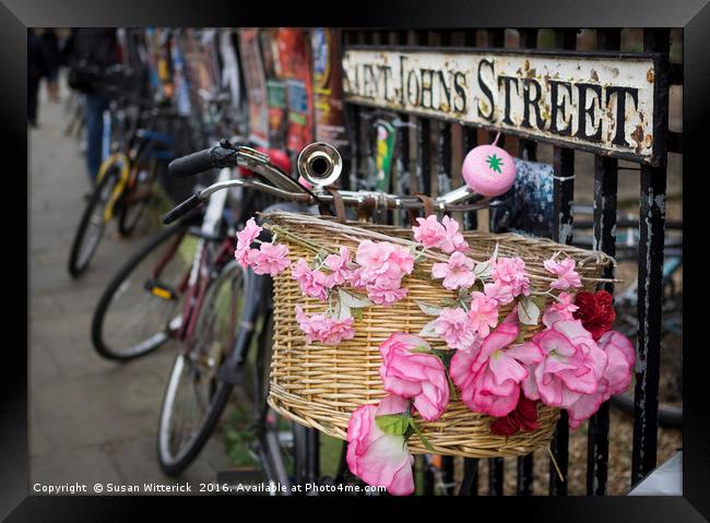 Pink Bicycle, Cambridge Framed Print by Susan Witterick